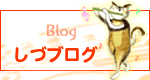 ブログ　しづフルート教室・ピアノ教室　名古屋　藤が丘駅前